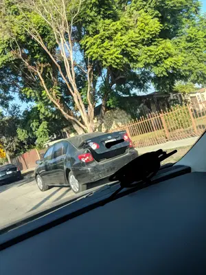 Millennium Auto Collision