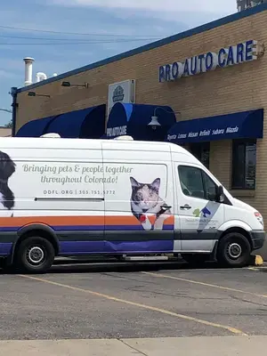 Business Photo