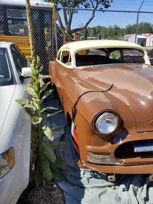 Ted’s Autobody, LLC