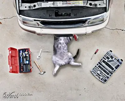 S.A.V.A Auto Tech Inc.
