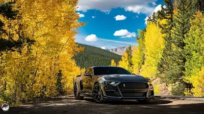 Castle Rock Ford Service