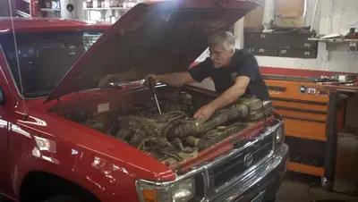 Frank's Transmission & Auto Care