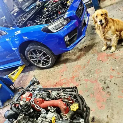 Bill's Automotive