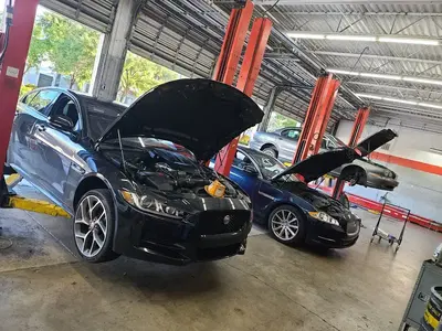Tire Kingdom
