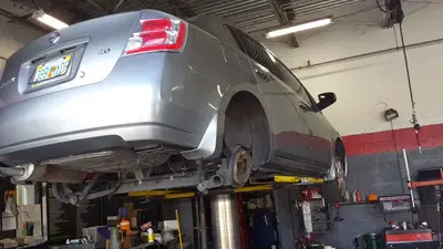 Tire Kingdom
