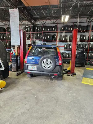 Miller Multi Service