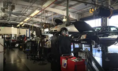 Ed Morse Collision Center Tampa