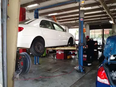 Tire Kingdom