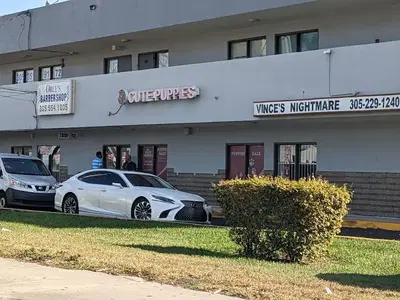 Business Photo
