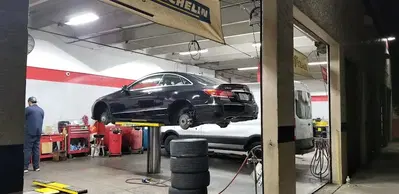 Tire Kingdom