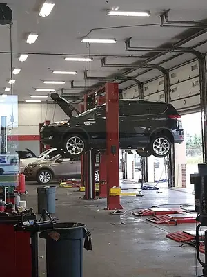 Tire Kingdom