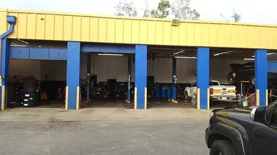 Action Gator Tire