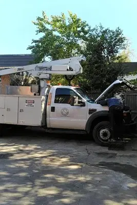 Business Photo