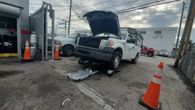 Business Photo