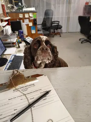 Business Photo