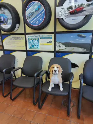 Business Photo