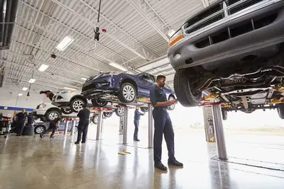 Tire Kingdom