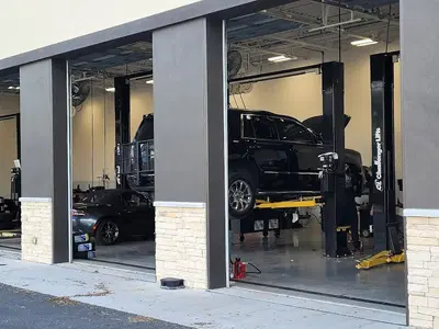 Action Gator Tire