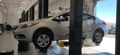Action Gator Tire