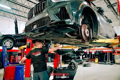 Euromotive Performance Auto Repair Service Specialist