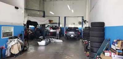 King James Custom Performance