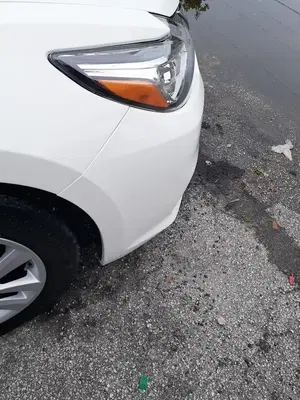 Carlos Auto body, Inc