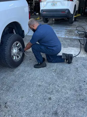 Tire Kingdom