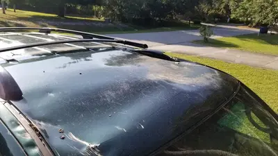 Savon Auto Body