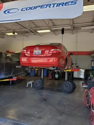Tire Kingdom