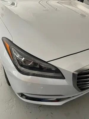Complete Auto Body Detail Paint