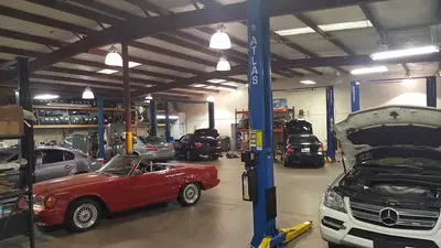 Malones Service & Performance