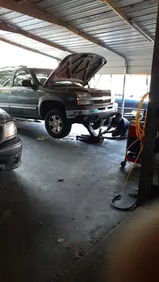 DOGGYE'S SHOP