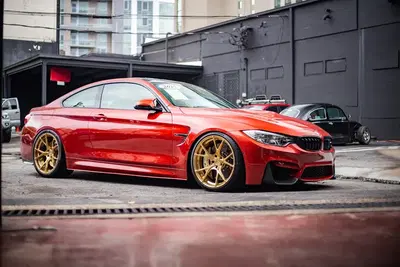 Business Photo