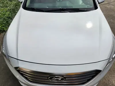 Custom Paint & Body