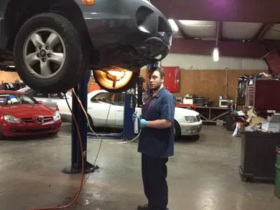 Lynn Import Specialties