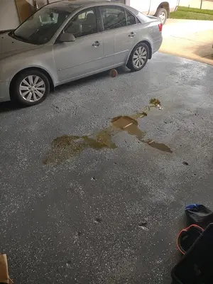 Car-X Tire & Auto