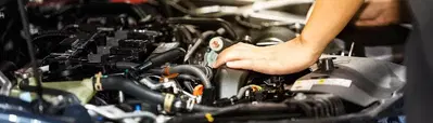 Auto Electric Specialty, LLC