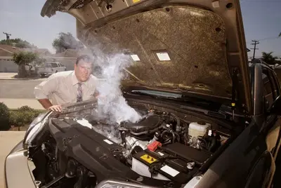 Rex Radiator