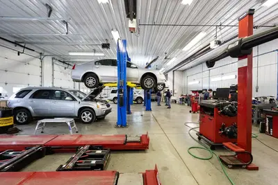 Bulldog Automotive