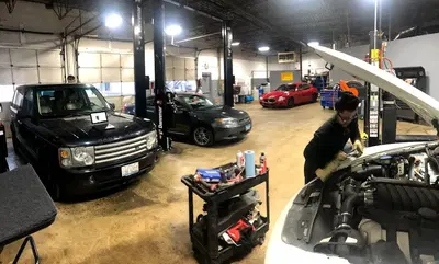 Real Autohaus Automotive- Arlington Heights