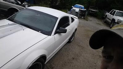 Business Photo