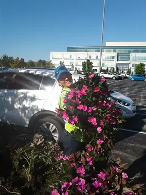 Business Photo