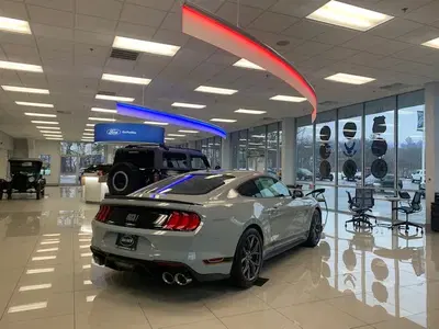 Business Photo