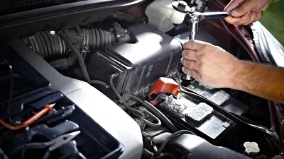 D & B Motors