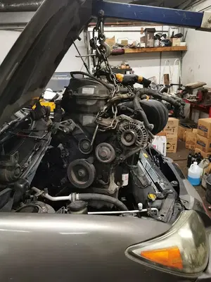 T & M Auto