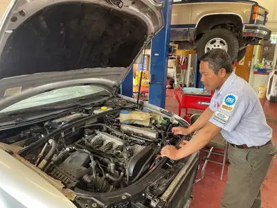Alexander's Automotive Inc