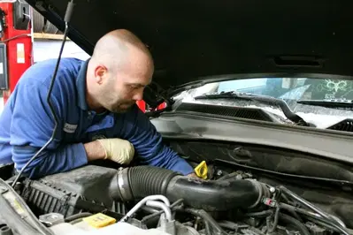 Bluegrass Precision Auto Care