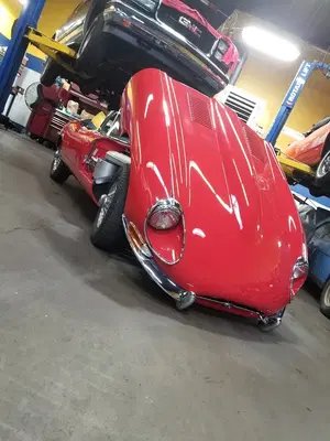European Auto Livery