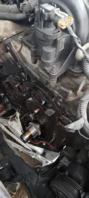 Family Automotive and Import speacialist
