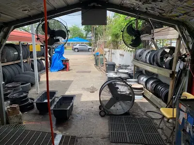 Shogun Tires